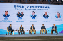汗青委以云南沉担：东盟生果商业核心呼之欲出
